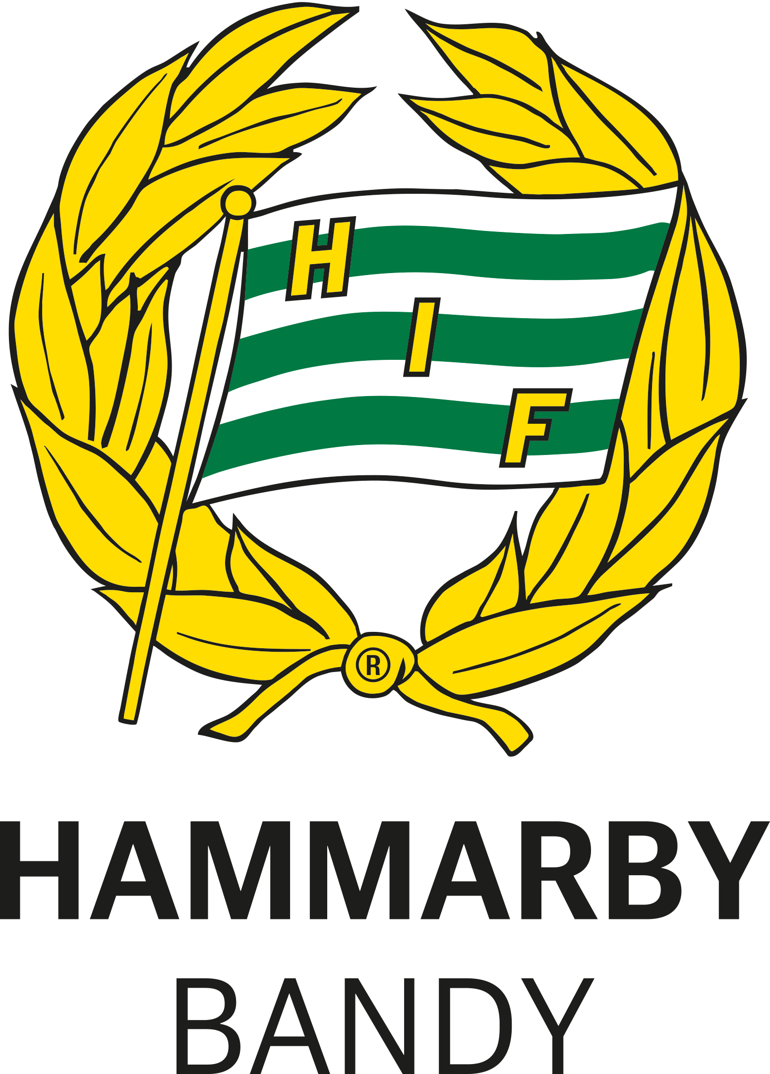Hammarby Bandy
